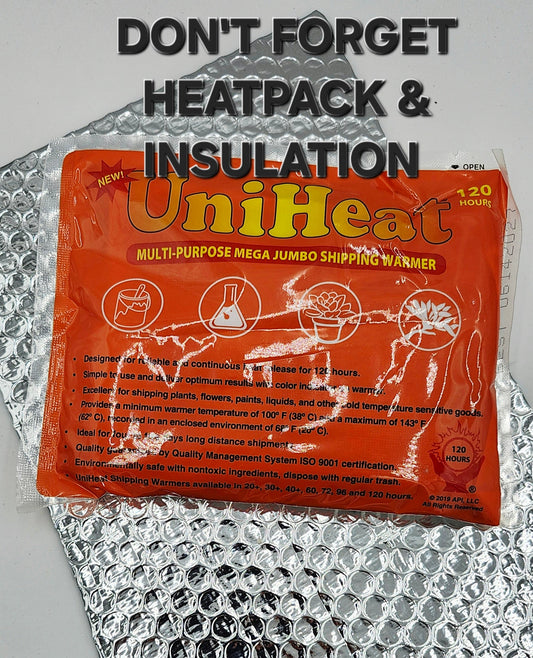 How I ship Plants In The Winter Without Damage!